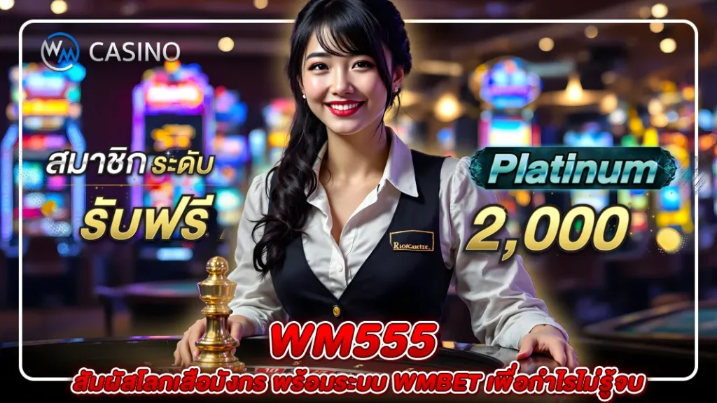 wm555